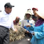 Menteri Pertanian Andi Amran Sulaiman